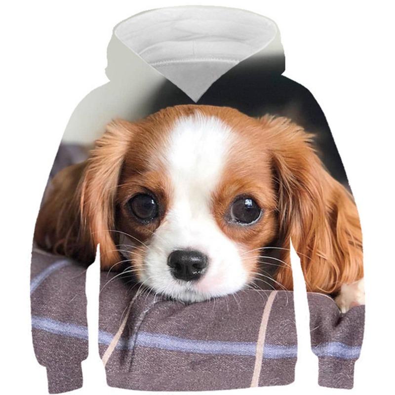 Autumn 3D Animal Pattern Printed Hoodies Fashionable Casual Sports Long Sleeved Children's Boy Hooded Sweatshirts