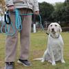 Extra Long Dog Leads 5M 10M With Soft Padded Handle And Reflective Design Perfect For Recall Training