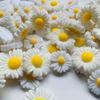 20 Pcs Daisy Nail Charm Flower Decoration Design 3D Nail Art Decal Applique Supplies,Summer Daisy Designs Resin Nail Art Jewelry