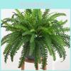 Nephrolepis Cordifolia Plant Wall Decorations Lush Foliage Homes Supplies
