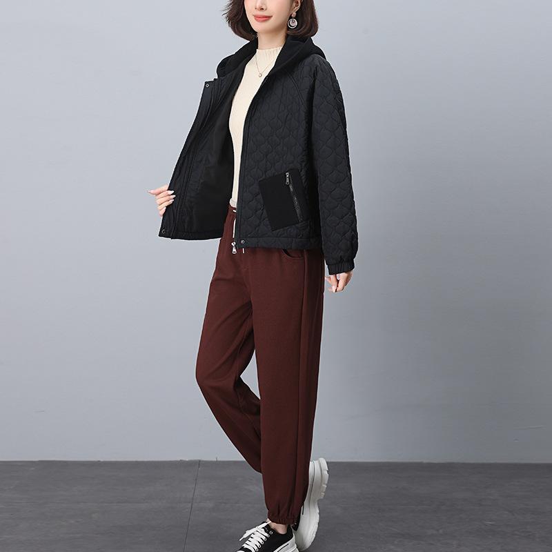 

Женский зимний комплект куртки с хлопковой подкладкой 2024: Утепленное пальто для матерей среднего и пожилого возраста XXL (recommended for 145-160 jin)