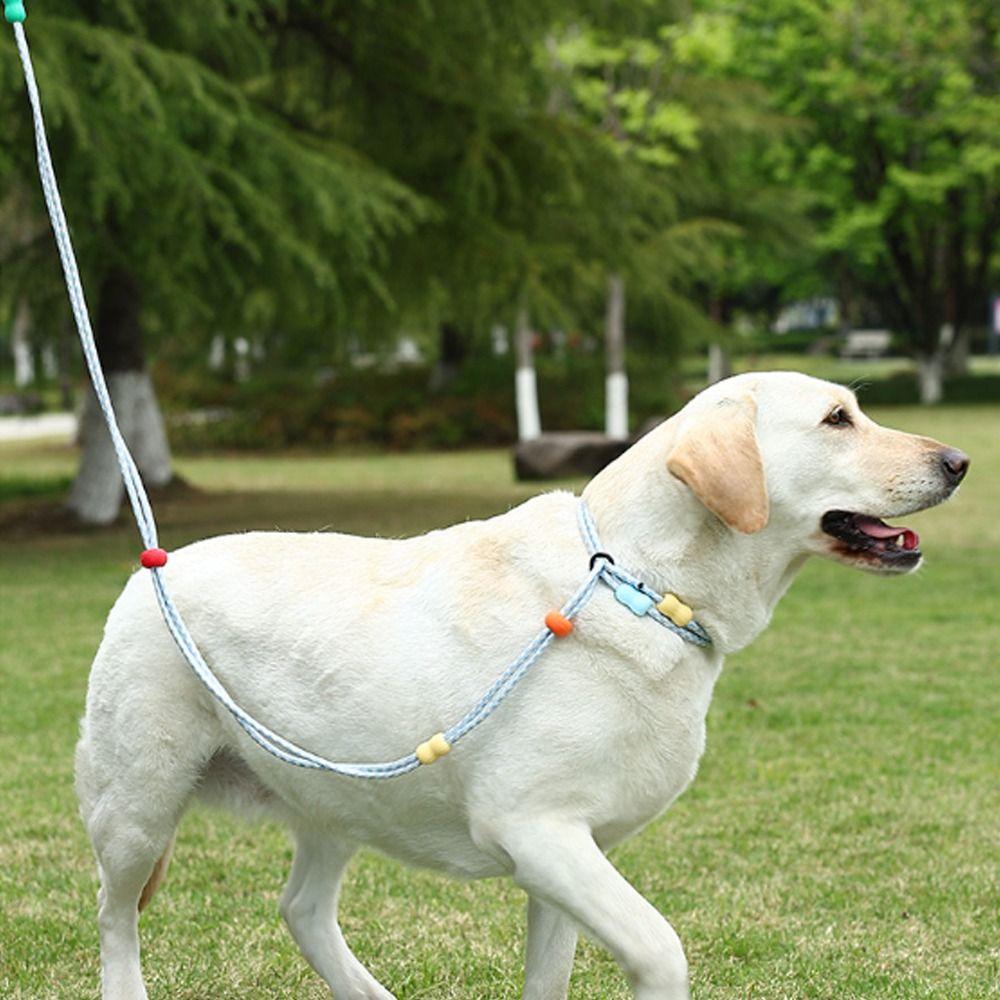 Anti-Pull Dog Harness and Leash Adjustable P Chain Leash Dog Collar Leash  Daily Use