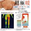 Belmise Official Heat Plus Compression Tights for Weight Loss Leggings, Women's Fleece-Lined (JP, Alphabet, L, 3, Black)