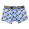 Dragon Ball Boxer Goku Pattern Size L Briefs, Costume, C,