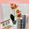 Realistic Butterfly Orchid Artificial Bloom For Ceremony And Venue Arrangement