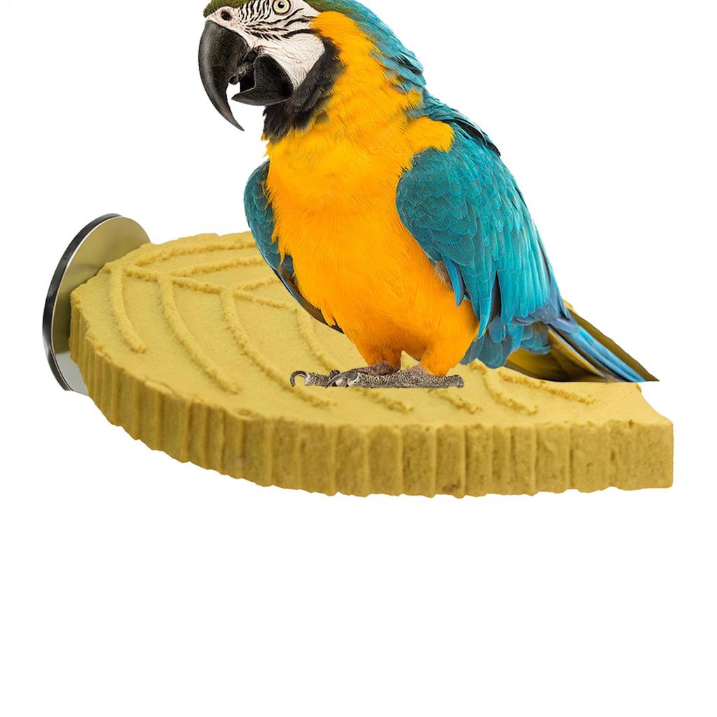 Cockatiel Perch Parrot Stand Toys Resin Bird Hamster Perch Platforms Stands Playground Bird Supplies Bird Cage Accessories Perch