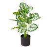 Small Monstera Artificial Plant for Indoor Decor - Potted Decoration for Offices, Living Rooms, and Desktops