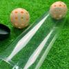 Clear Ball Holder Cylindrical Pickleball Holder Tube  Badminton Baseball Tennis