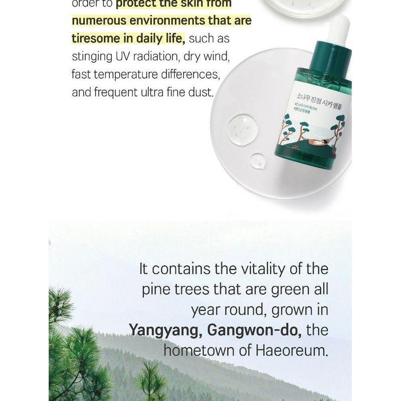 ROUND LAB Pine Calming Cica Ampoule