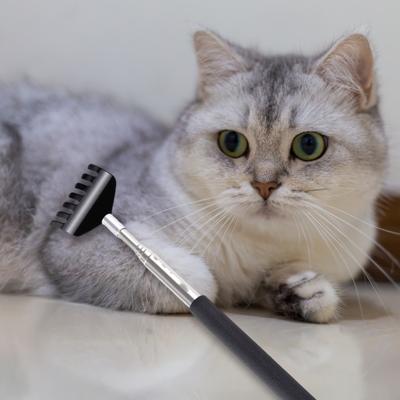 Gratta schiena retrattile Bacchetta Giocattolo Gatto 26" Testa Estensibile Strumento per Grattare Zampe Posteriori Giocattolo Interattivo per Gattini Giocosi