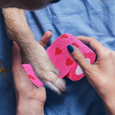 Katze Selbstklebende Elastische Bandage für Haustier Hund Katze Bandage Beinschutz Schützender Riemen Bandage Vlies Kohäsive Bandage Farbe