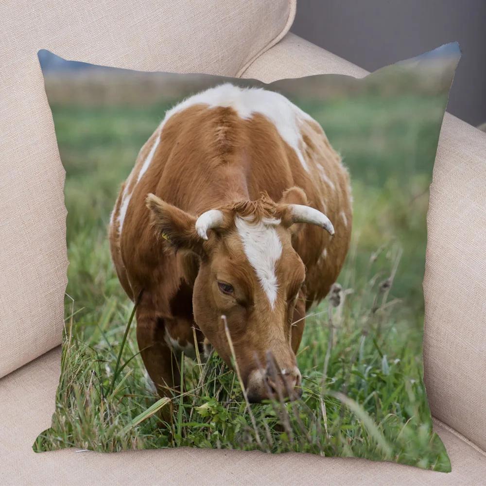 Scotland Kyloe Pillow Case Decor Wild Cow Colorful Animal Print Pillowcase Soft Short Plush Cushion Cover for Home Sofa 45x45cm