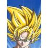 Plaid - DRAGON BALL Z - 100 x 140 cm