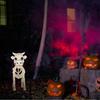 Kuskjelett Halloween-dekorasjon Kuskallerekvisitt til Halloween-hjemmedekorasjon