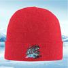 Winged creature flowing ice design Unisex Women Unisex Knitted Hat Beanie Pullover Cap Winter Thermal Warm Christmas Outdoor Cyclin