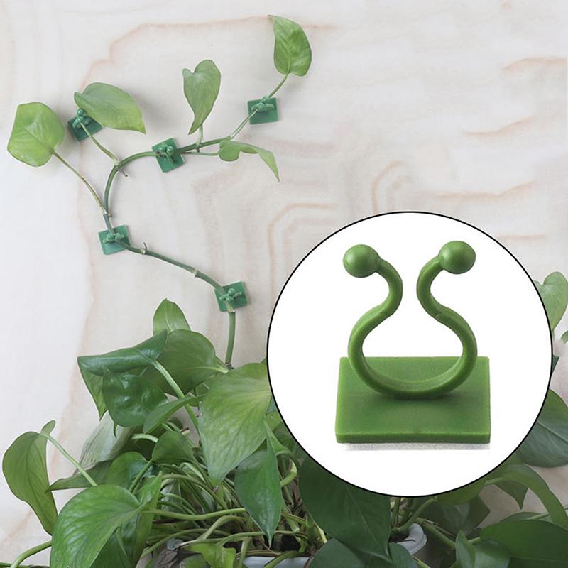 20 Stück Selbstklebende Pflanzenkletter-Wandclips - Hausgarten Rattan-Rankenbefestigung Feste Schnalle Haken
