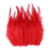 50/100pcs Natural Pheasant Chicken Feathers 10-15cm Colored Cock Plume for Handicrafts and Needlework Dream Catcher Accessories