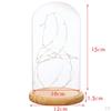 Cloche With Suspended LED Lights Tabletop Lamp Wedding Holiday Decor Crafts