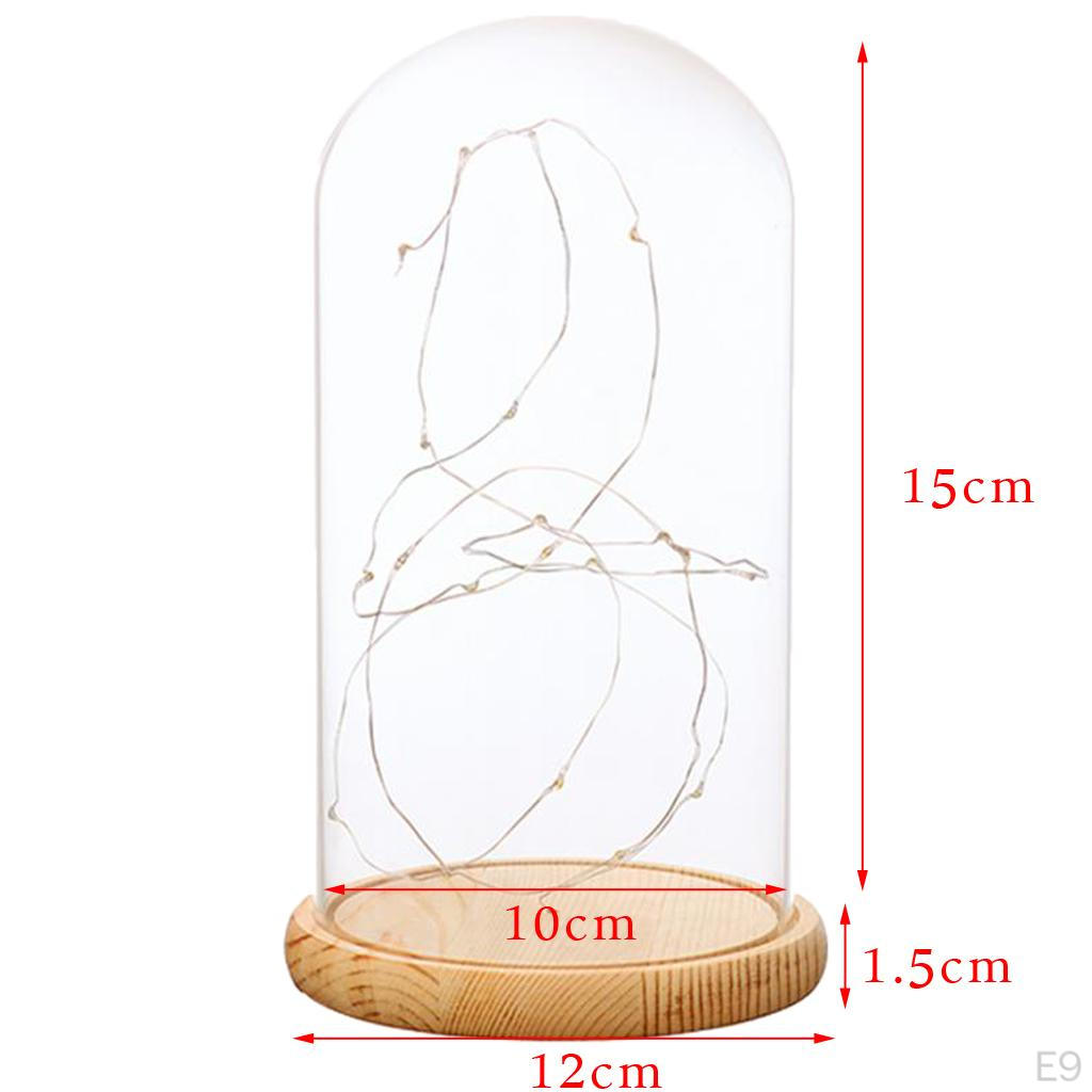 Cloche With Suspended LED Lights Tabletop Lamp Wedding Holiday Decor Crafts