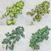Leaf Watermelon Realistic Plastic Plants For Indoor Outdoor Decoration Gift