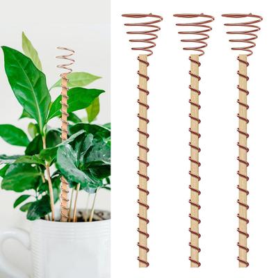 Elektrocultuur Plantstokken Koperen Spiraal Antennes Herbruikbare Plantantennes voor Tuinieren Eco-Vriendelijk Hoge Opbrengst