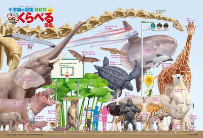 150-piece Jigsaw Puzzle, More Comparison Picture Book, Various Size Comparison, Large Pieces (26x38cm)