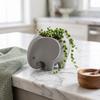 Succulent Planter 3D Printed Elephant Flowerpot Plastic Small Cactus Plant Holder  Home Office