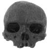Black Skull Resin Naments Fish Tank Decorations Aquarium Decor Fake Model Pet Products Resin Head Bone Statue Fish Tank