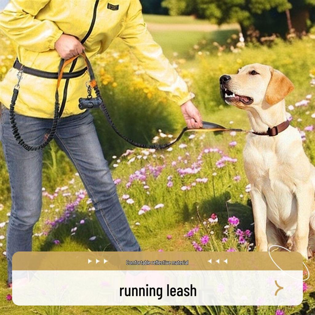 Großer Hund Laufen Hüftleine – Praktische Freihändige Haustierleine