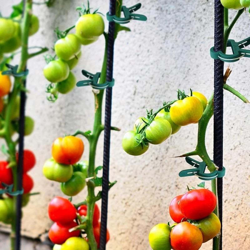 50PCS Reusable Plant Support Clips Garden Greenhouse Plastic Clips Tomato Cucumber Vine Vegetable Stem Gardening Tools