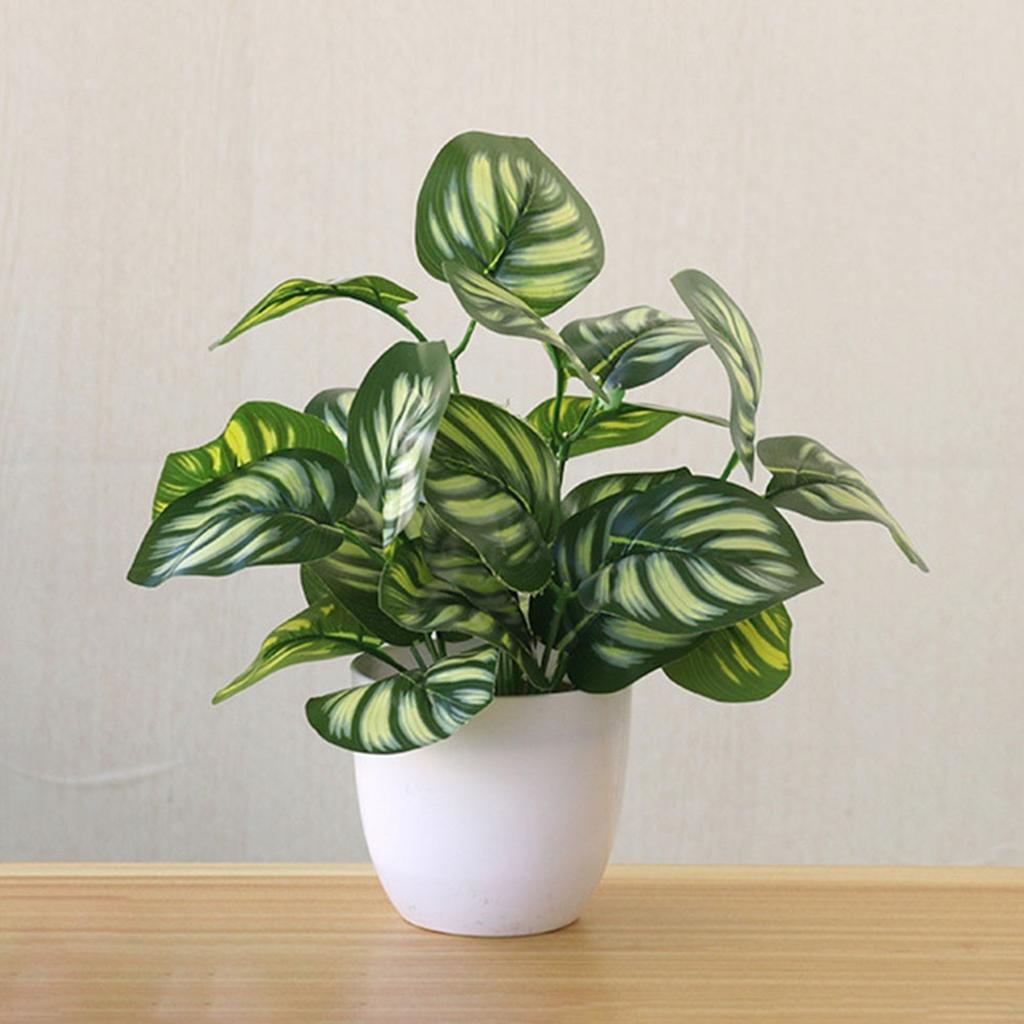 Flower Foliage  Potted Bonsai Office Decor