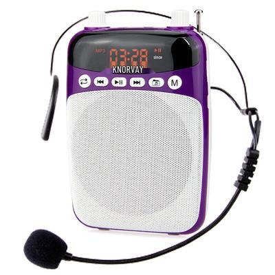 Portable Voice Amplifier for Teachers & Tour Guides CN Plug (adapter Included)