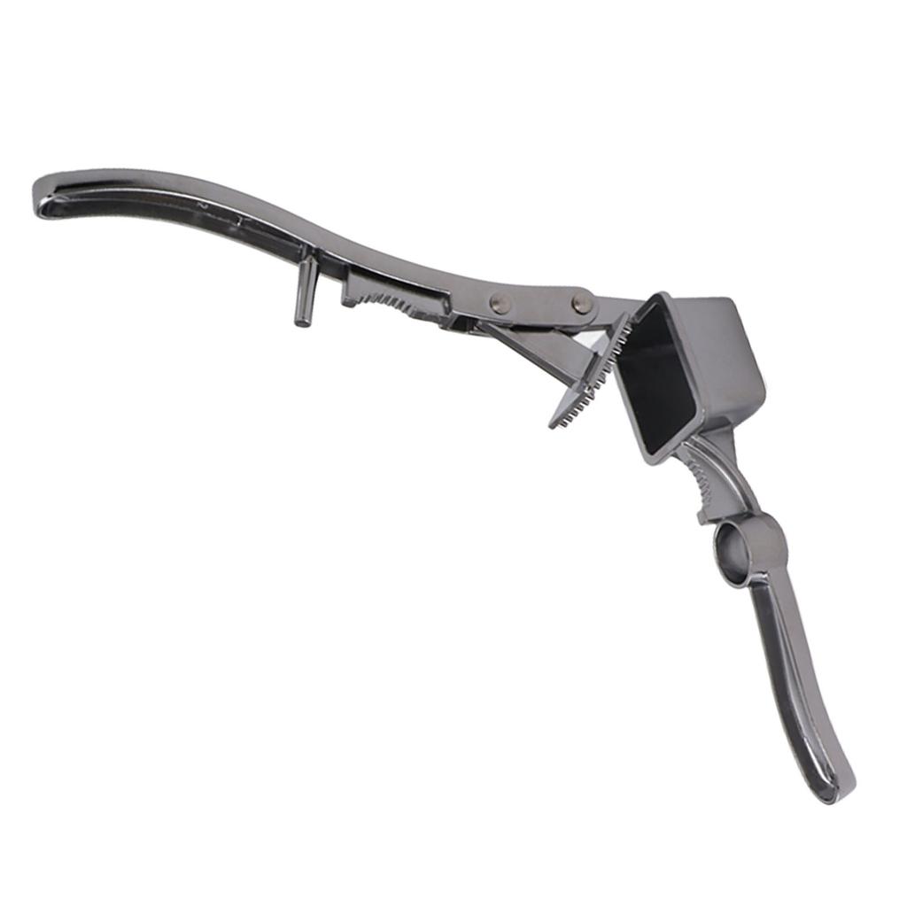 3 In 1 Garlic Press Red Jujube Corer Walnut Opener Aluminum Alloy Manual Sharp Blade Garlic Mincer for Kitchen Use