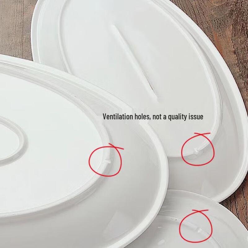 SIFAR 10-inch Ceramic Oval Fish Plate Set