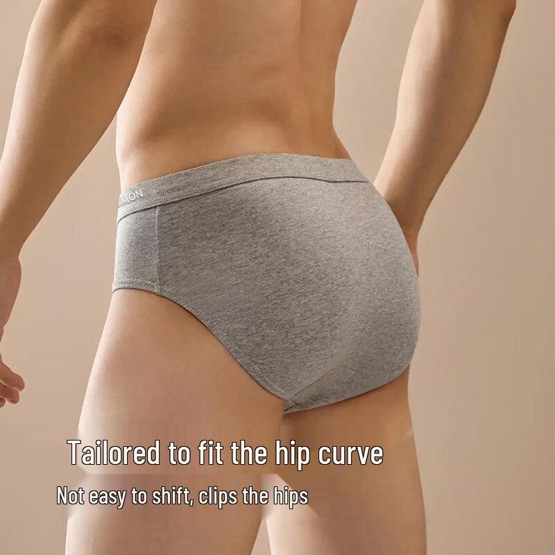 ROMON Men's Silk Antibacterial Pure Cotton Briefs 4-Pack