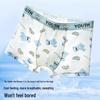 Yuzhaolin Boys' Ice Silk Boxer Briefs