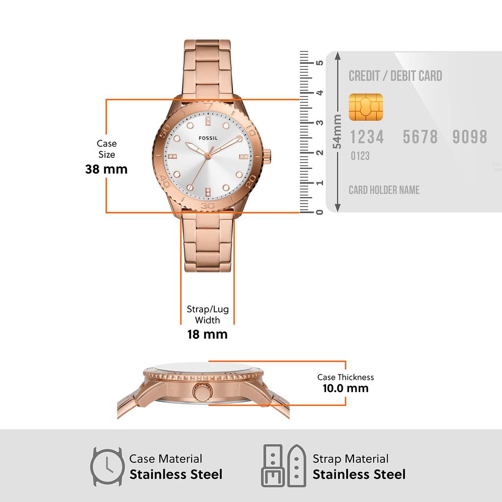 DAYLE Rose Gold Tone Stainless Steel Watch Three-Hand