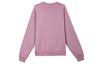 Nike SB Fleece Lined Skateboard Crew Neck Pullover Loose Fit Long Sleeved Sweatshirt Unisex Gray Purple Red HQ3038-523