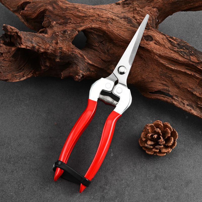 Orchard Fruit Picking Shears Picking Grapes and Melons Scissors Garden Fruit Tree Flower Branch Grafting Gardening Scissors