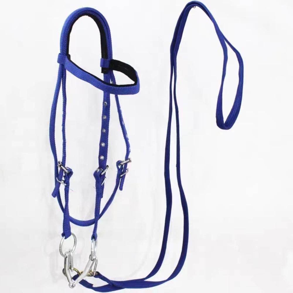 Standard Thread Plate Riding Bridle Reins Suitable for Horses and Ponies