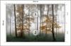 Photomural Forest In Fog Structural Vinyl 254x184