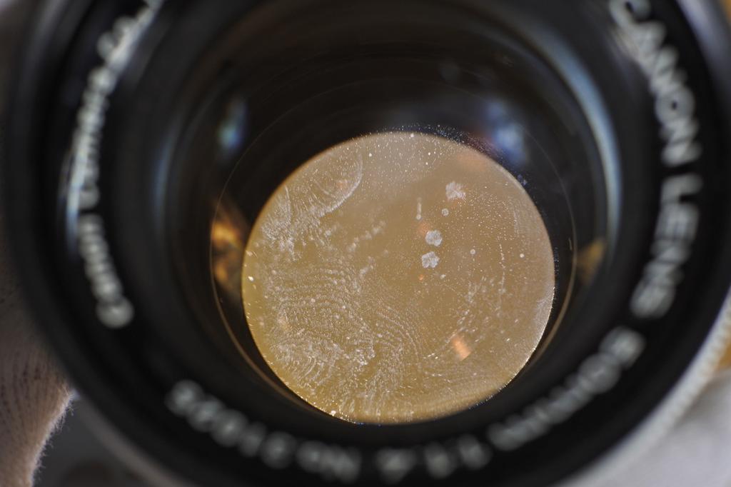 Canon 50mm F/1.4 LTM (L39 Screw Mount) – Used / Needs Maintenance