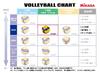 Mikasa Size Japan Volleyball Association Approved for Junior High School Students and Recommended Internal Pressure Volleyball, 4, Ball, Women,