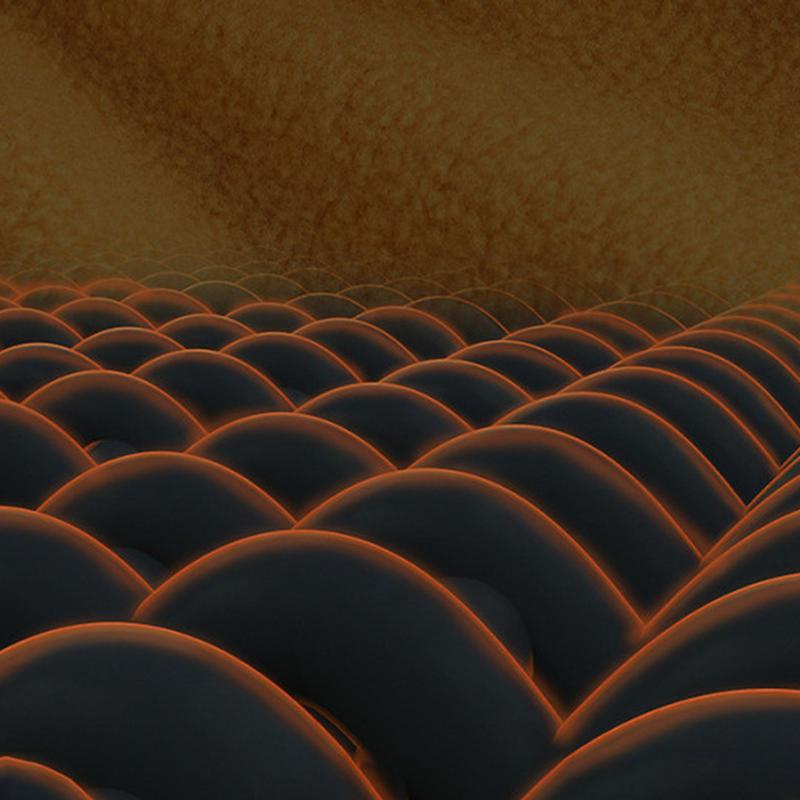 Windproof Face Cover Neck Gaiter Scarf Headgear Fleece Hood Neck Warmer Ski Masque Windproof Winter Face Cover