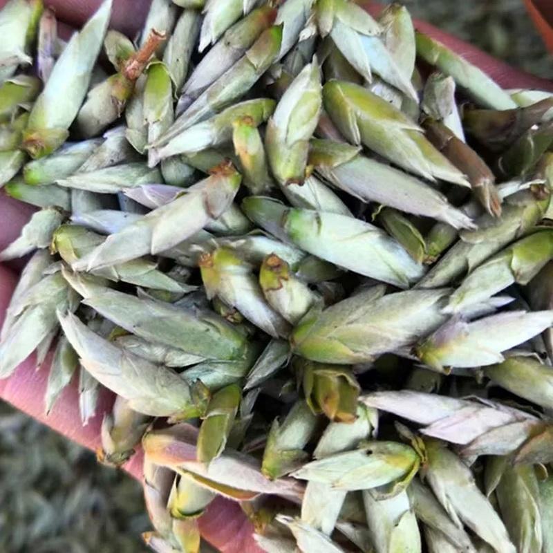 Пуэр листовой Шэн ча 250г Юньнань Белый бутон Чай Пуэр Бай Я Бао Шэн — фото 5