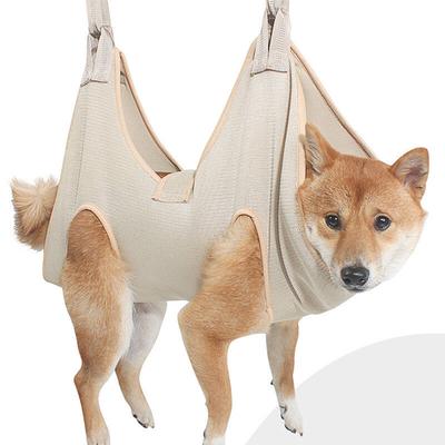 Köpek – Köpek bakım ürünleri