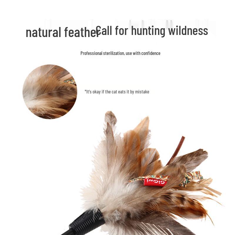 

Feather Cat Teaser Toy