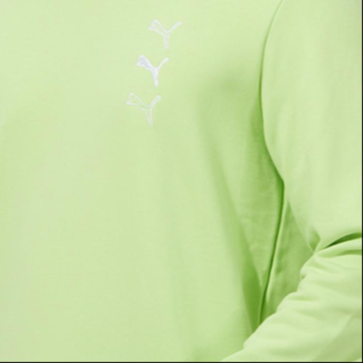 Puma Solid Color Casual Crew Neck Long Sleeve Sweatshirt Men Sweatshirt Green 535016-81