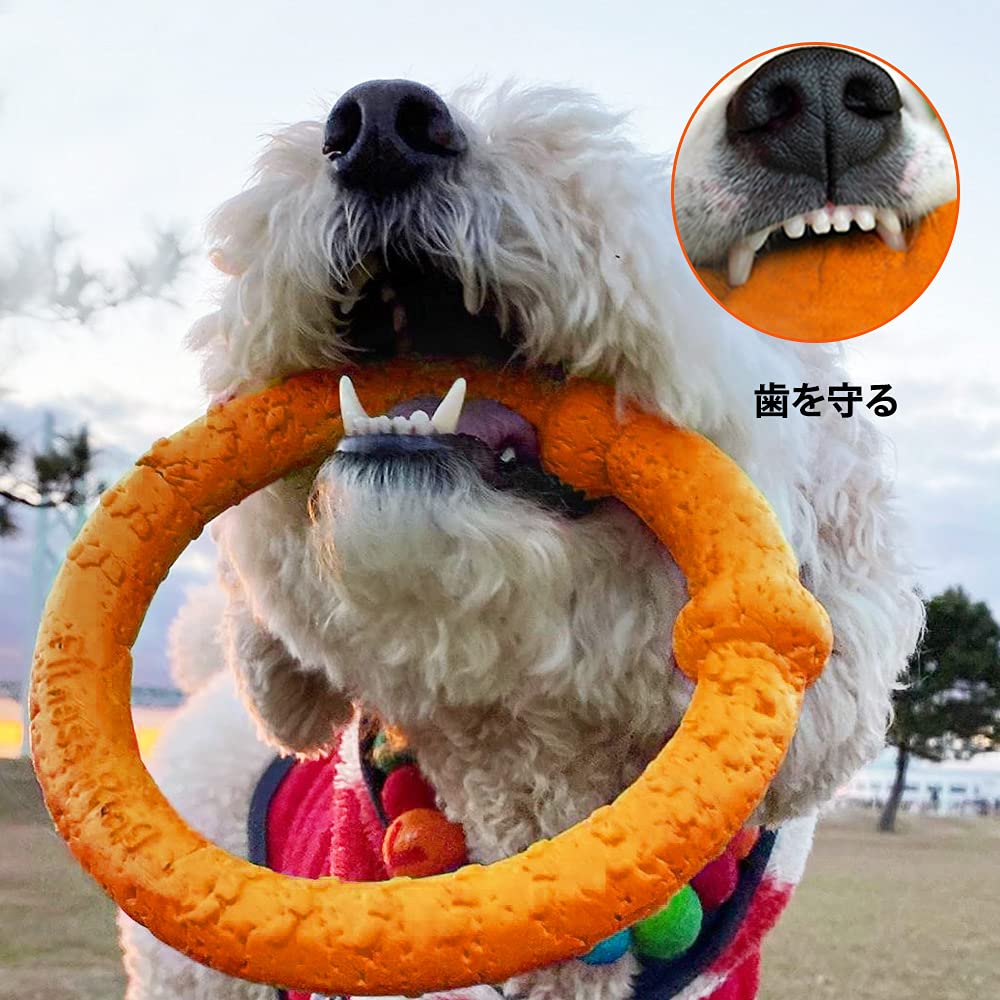 LaRoo Teddy Dog Dental Durable Chew Toy for Small 18cm Round Stress Reliever To Medium Floating Training Toy for Pets Toy, Dogs, Frisbee, (Small