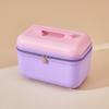 Li Shen Portable Travel Cosmetic Case
